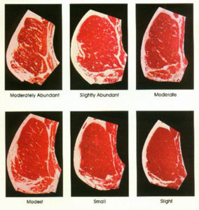 Grading System in the US - SteakHousePrices.com